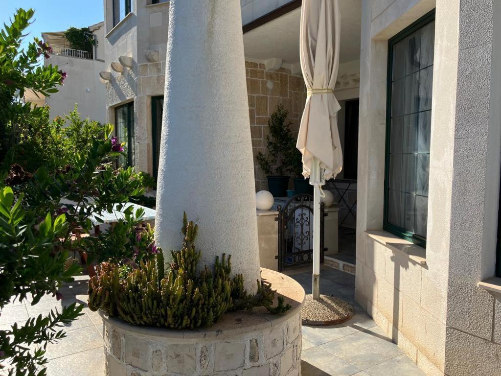 Apartments Villa Domus Marini Đảo Hvar Phòng bức ảnh